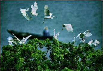 全國(guó)人大解決方案